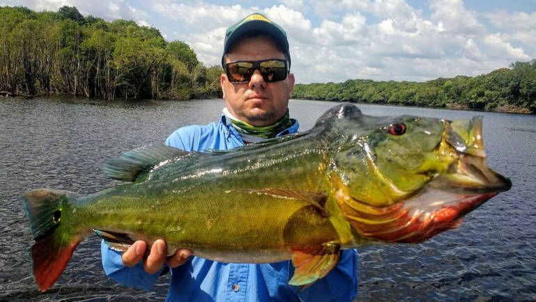 Fish the Xingu River Discounted Price