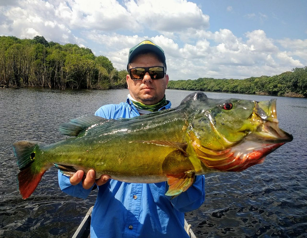Fish the Xingu River Discounted Price